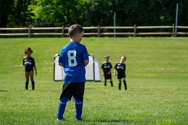 篮球NBA球队教练轮换策略调整